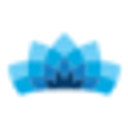 Patterson Foundation logo