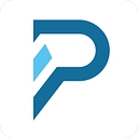Paulsen logo