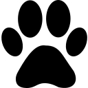 PAW Patrol World logo