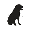 Paws and Claws Animal Hospital