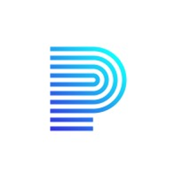 PayerPrice logo