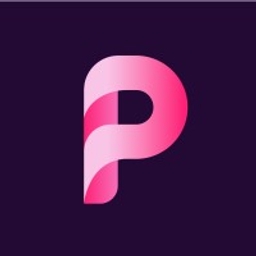 Payflip logo