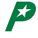 Payless Auto Glass logo