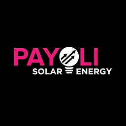 Payoli LLC logo