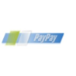 PayPay India logo