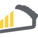 Paystri logo