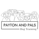 Payton Technology