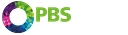 Pbs Group.Co logo