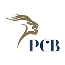 Puch Construction & Building Pty Ltd logo