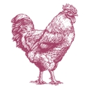 Pcc Natural Markets logo