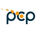 Project Controls Partners logo