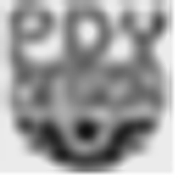 PDY Systems Ltd logo