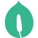 Peace Lily Singapore