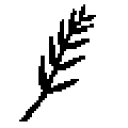 International Peace Consultancy logo