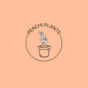 PEACHI PLANTS