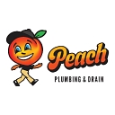 Favicon of Peach Plumbing
