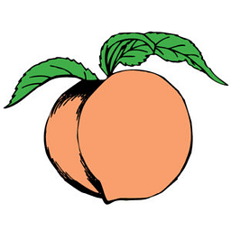 Peach State Truck Brokers, Inc logo