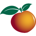 Peach State Fcu Cares Foundation Inc logo