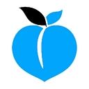 Peachwiz, Inc. logo