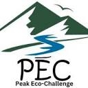 PEC Sweden AB logo