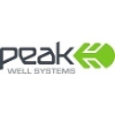 Peak Well Systems logo