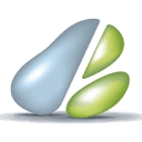 Pear Technology — Digital Mapping Services logo