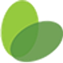 Rise Counseling & Diagnostics logo