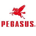 Pegasus