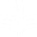 Pegasus Foods Inc logo