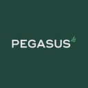 Pegasus Retail Finance logo