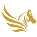 Pegasus Storage logo