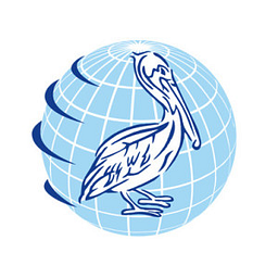 PELICAN ENERGY CONSULTANTS, LLC logo