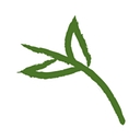 Pemco Agencies logo