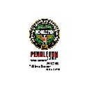 Pendleton Security logo