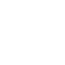 Pendulum™ logo