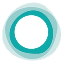 Punter Southall Group logo