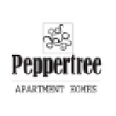PEPPER TREE