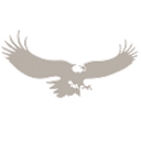Peregrine Corporation logo