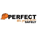 Perfect logo