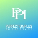 Perfection Plus logo