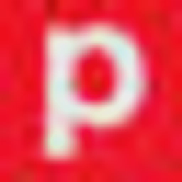 Performance Physiotherapy logo