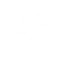 Favicon of Performa