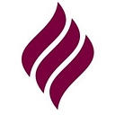 Perry Group logo