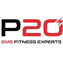 P20 | Ems Studio logo