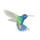 Personify Health logo