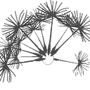 Perth Ent Centre logo