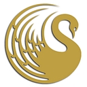 Skin Room Perth logo