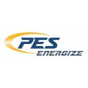 Pulaski Electric System logo