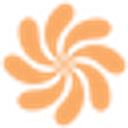 Petal Icon