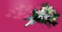 Petals logo
